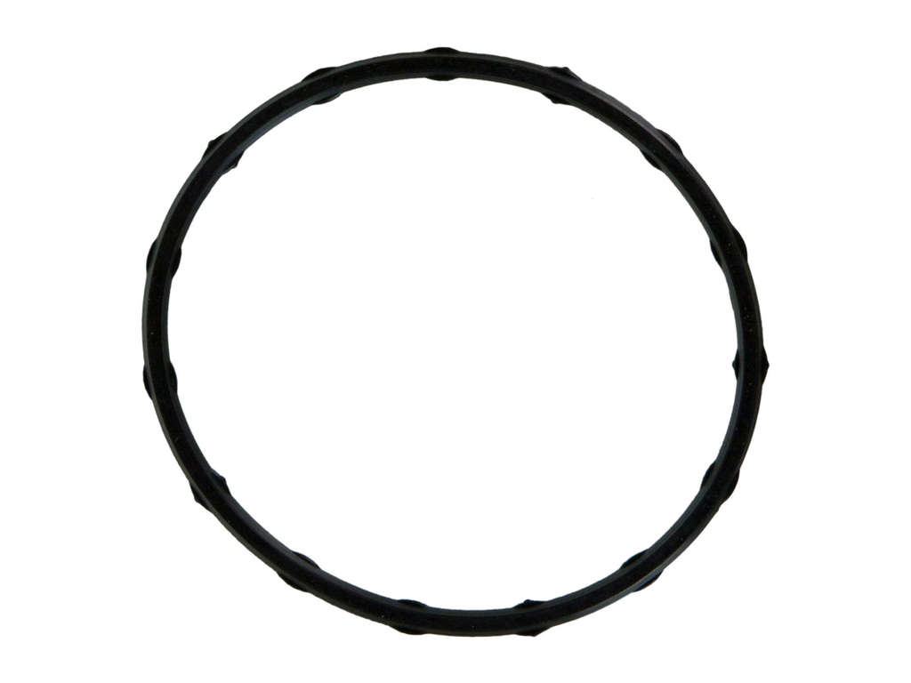 2006-2014 Chevrolet Express 2500 Fuel Injection Plenum Gasket (Fel-Pro)