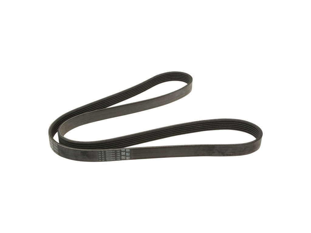 2006-2010 BMW M5 Accessory Drive Belt - Primary (ContiTech)