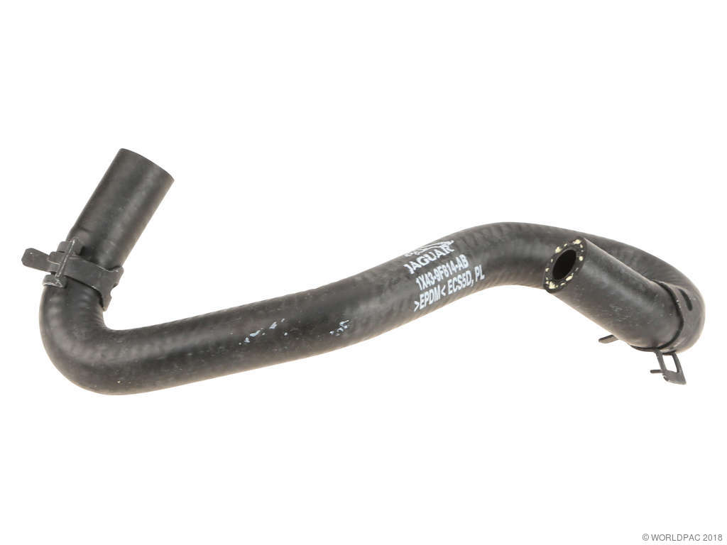 2002-2008 Jaguar X-Type Engine Coolant Hose (Genuine)