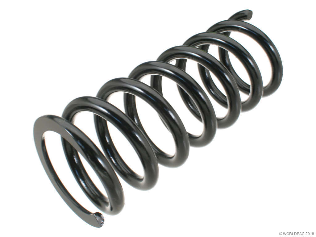 1994-1995 Mercedes-Benz S500 Coil Spring - Rear (Lesjofors)