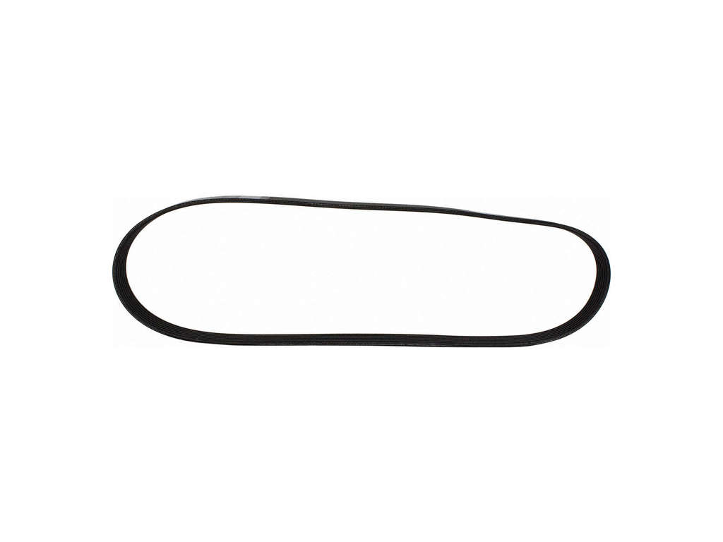 2017-2019 Ford Escape Accessory Drive Belt (Motorcraft)