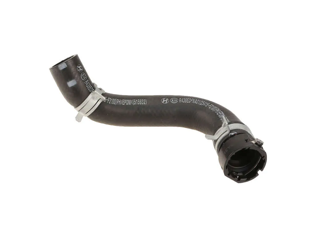 2017-2020 Hyundai Elantra Radiator Coolant Hose - Lower (Genuine)