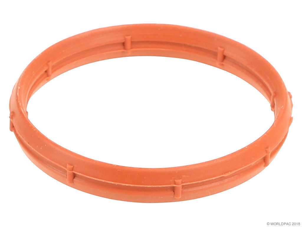 1999-2002 Nissan Quest Fuel Injection Plenum Gasket - Outer (Ajusa)