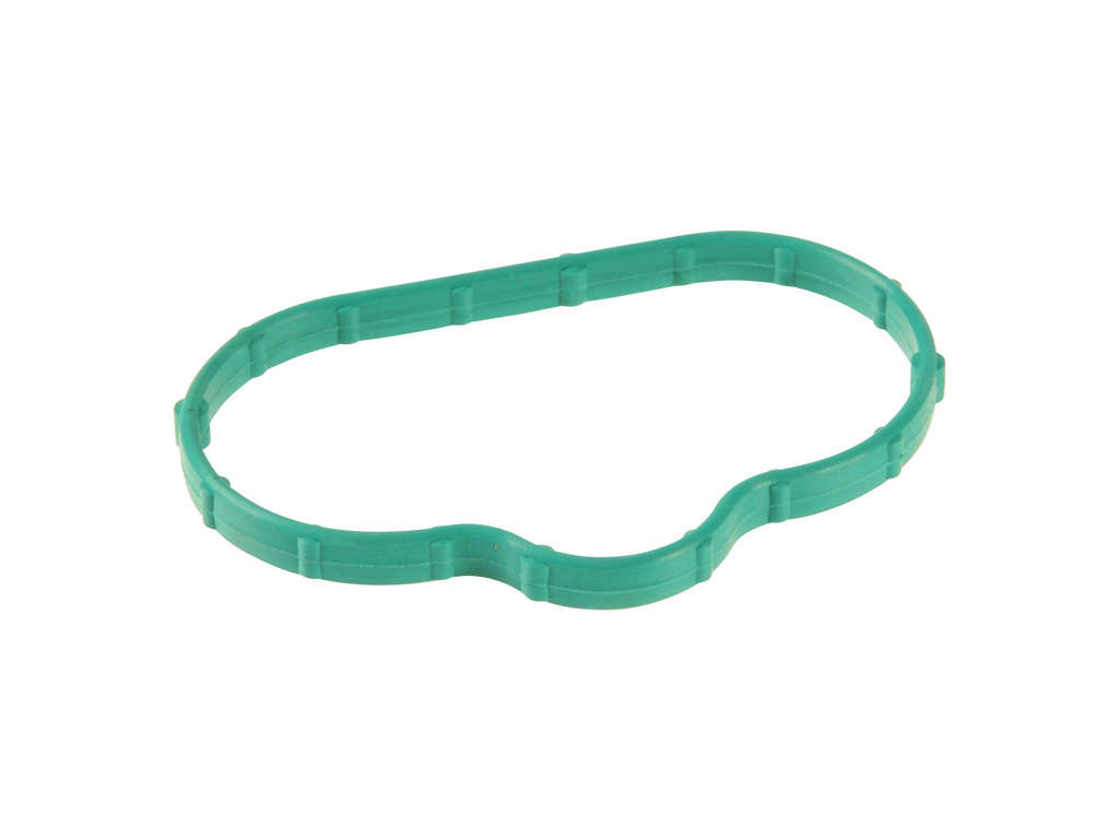2002-2005 Lincoln LS Engine Intake Manifold Gasket (Victor Reinz)