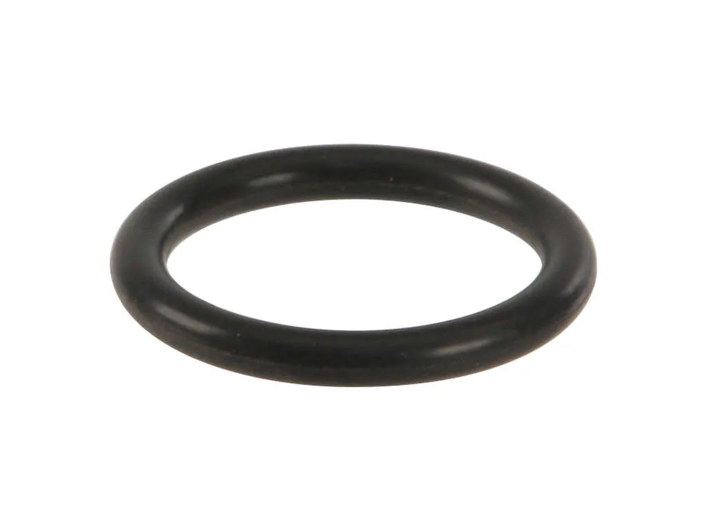 2002-2008 Mini Cooper Engine Oil Filler Cap Gasket (Victor Reinz)