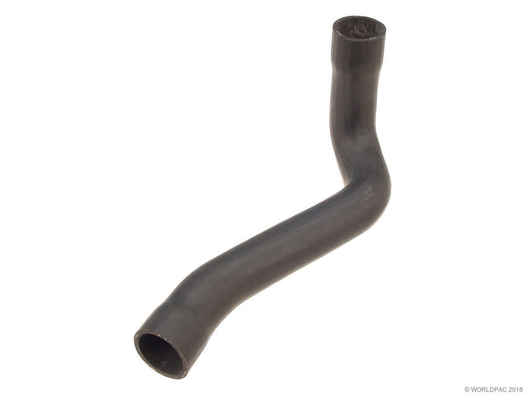 1991-1995 BMW 525i Radiator Coolant Hose - Lower (Rein)