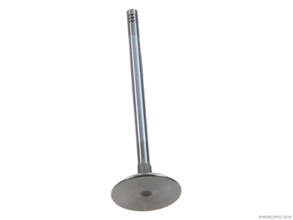 2003-2005 BMW Z4 Engine Intake Valve (Febi)