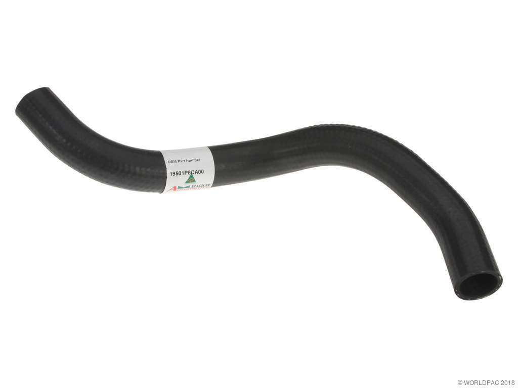 2001-2003 Acura CL Radiator Coolant Hose - Upper (MacKay)