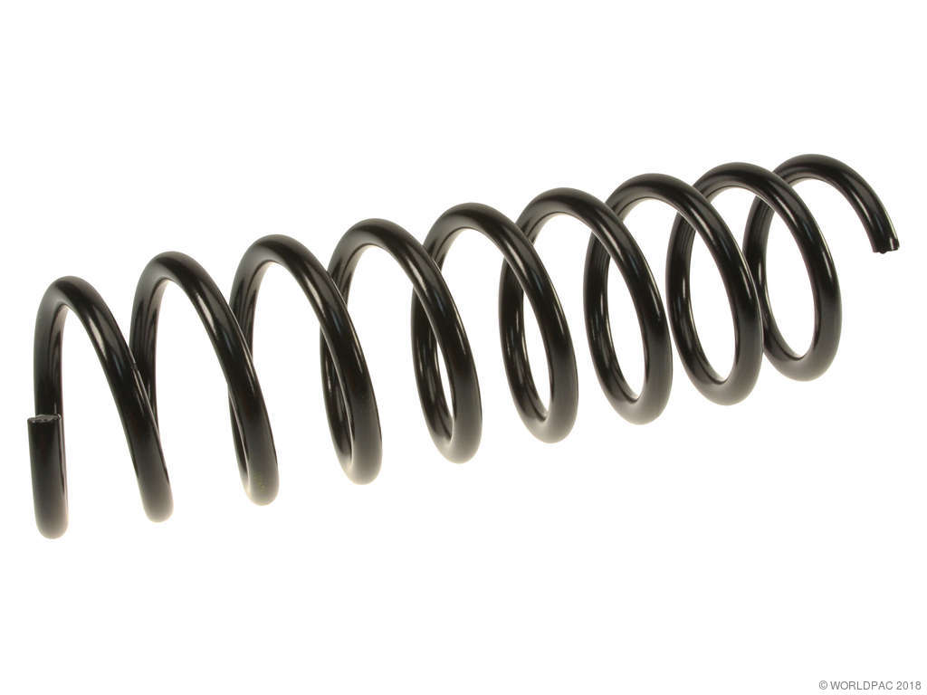 1997-2000 BMW 528i Coil Spring - Rear (Lesjofors)