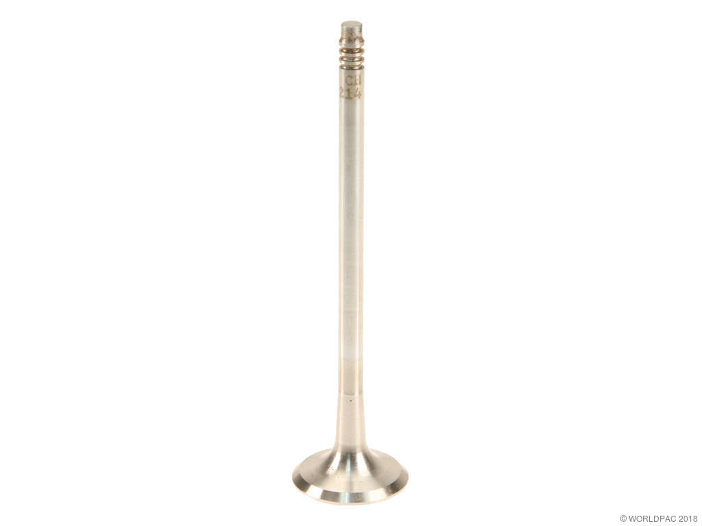 2008-2010 BMW 535i Engine Exhaust Valve (TRW)