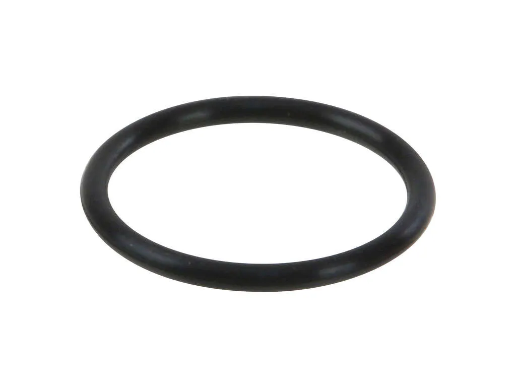 2011-2015 Toyota Tacoma Fuel Injector O-Ring - Lower (Nippon Reinz)