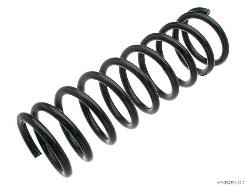 1993-1994 BMW 740i Coil Spring - Rear (Lesjofors)