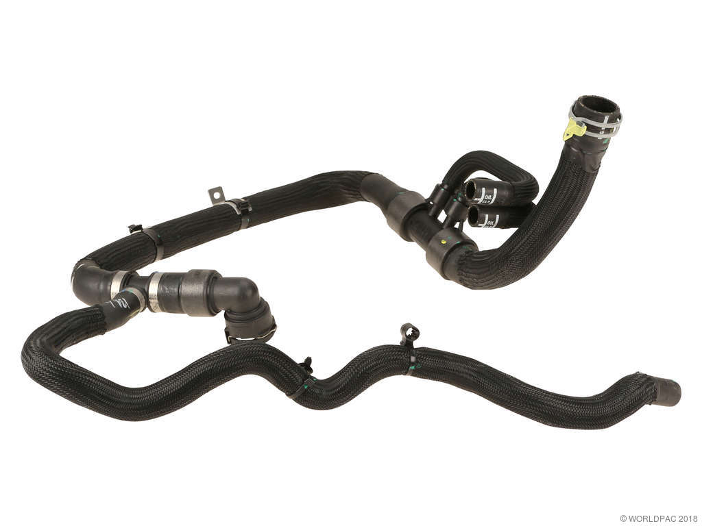 2015-2022 Jeep Cherokee Radiator Coolant Hose -  or Lower (Mopar)