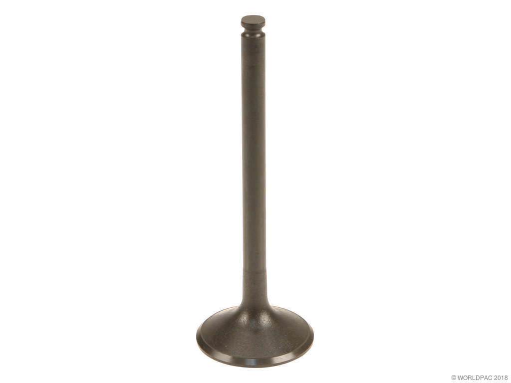 1994-1997 Mercedes-Benz C280 Engine Intake Valve (TRW)