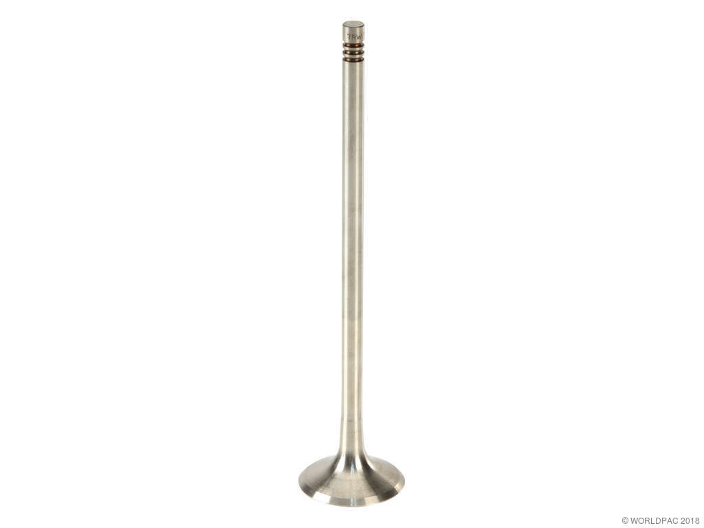 2009-2017 Volkswagen CC Engine Exhaust Valve (TRW)