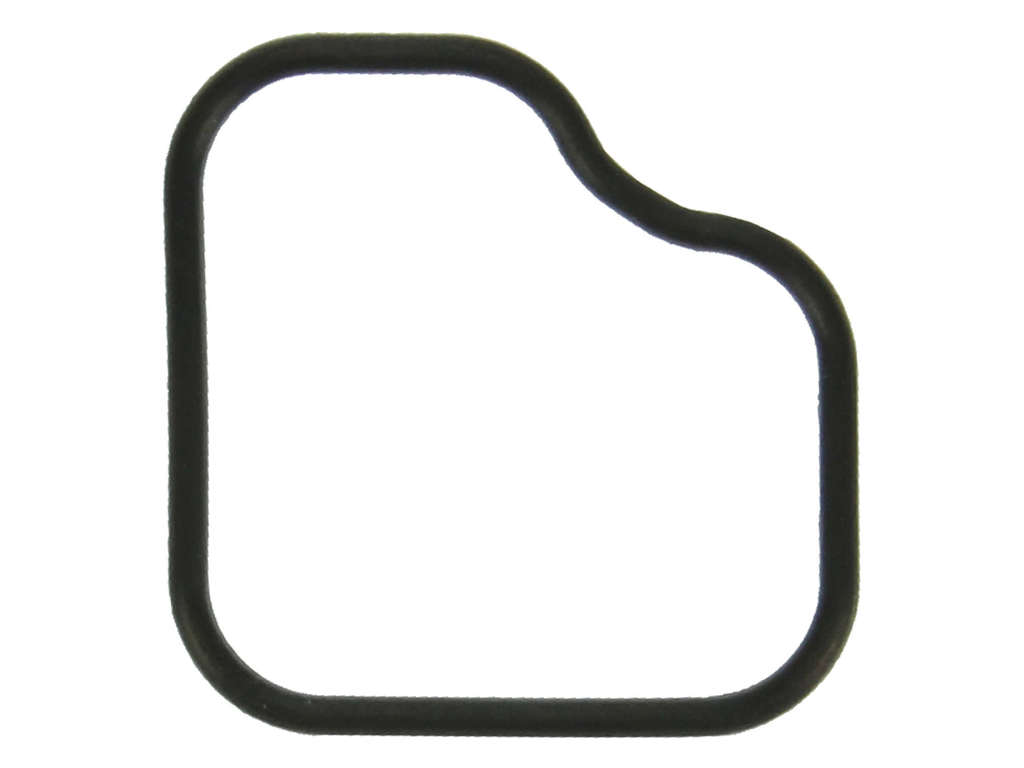 2002-2005 GMC Envoy Engine Coolant Outlet O-Ring (Fel-Pro)