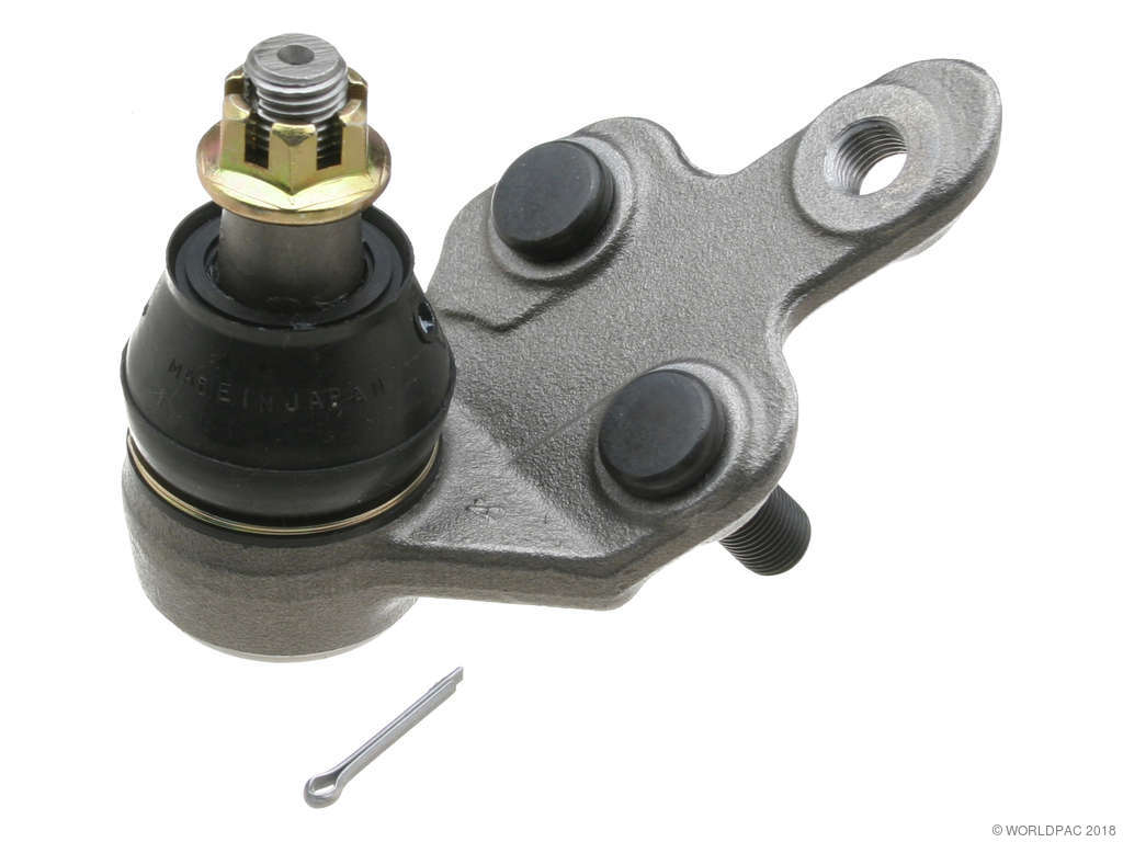 2004-2006 Lexus ES330 Suspension Ball Joint - Front Right Lower (CTR)