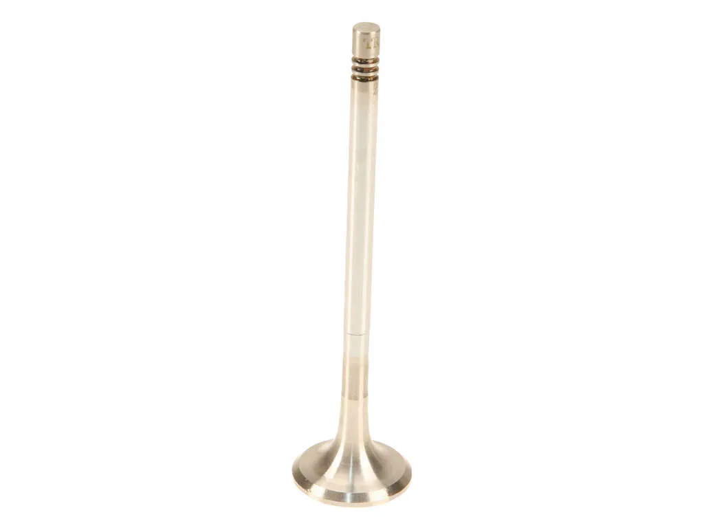 2005 Mercedes-Benz C230 Engine Exhaust Valve (TRW)