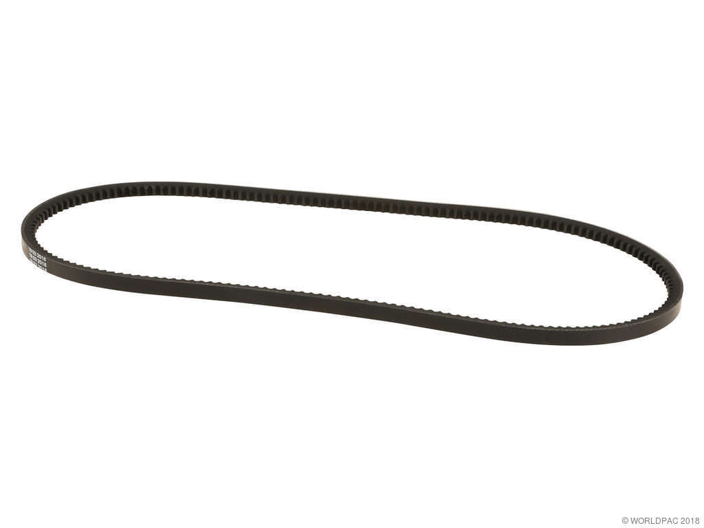 1981-1983 Porsche 911 Accessory Drive Belt - Air Conditioning (ContiTech)