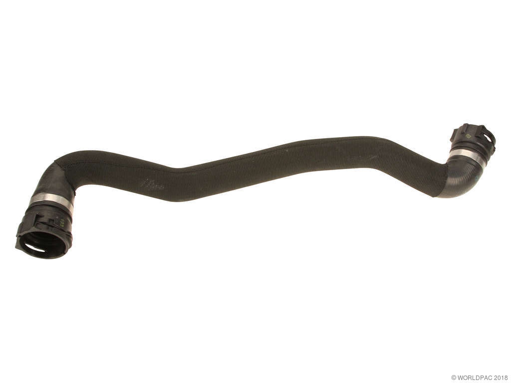 2006-2010 BMW M5 Radiator Coolant Hose - Upper (Genuine)