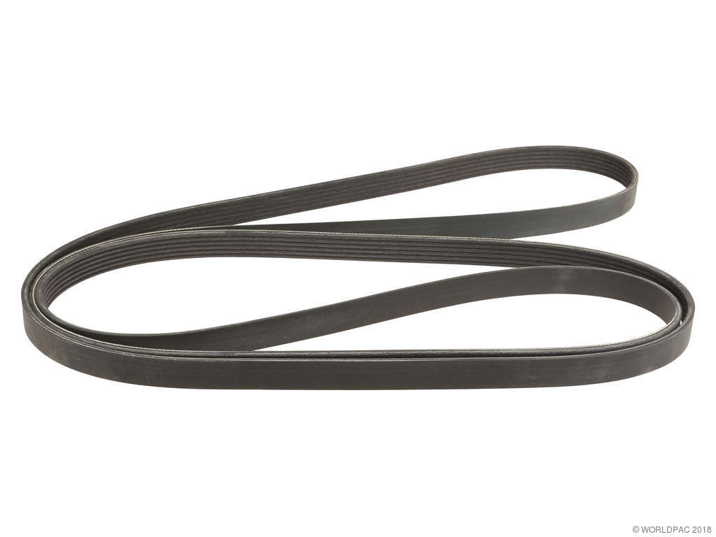2006-2010 Chevrolet Express 3500 Accessory Drive Belt - Primary (ContiTech)