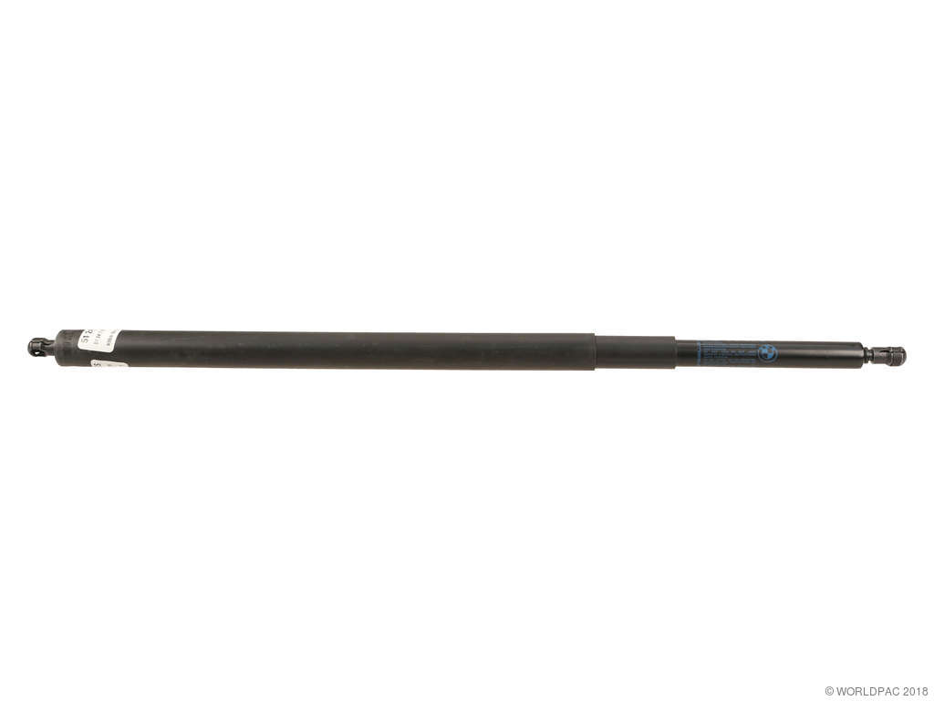2009-2010 BMW 535i Liftgate Lift Support (Genuine)
