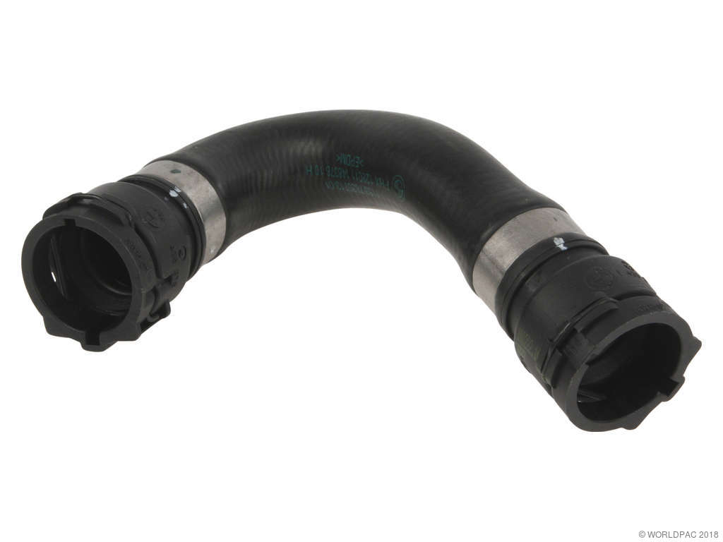 2001-2006 BMW M3 Engine Coolant Overflow Hose (Genuine)