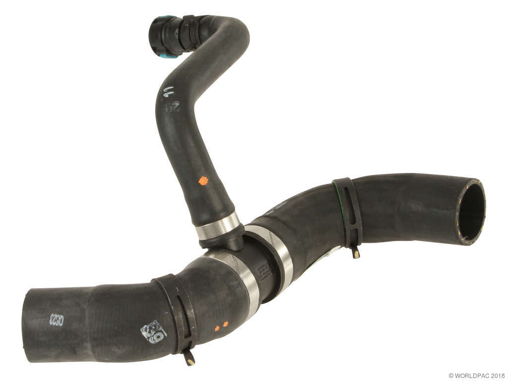 2006-2009 Jaguar XJ8 Radiator Coolant Hose - Upper (Genuine)