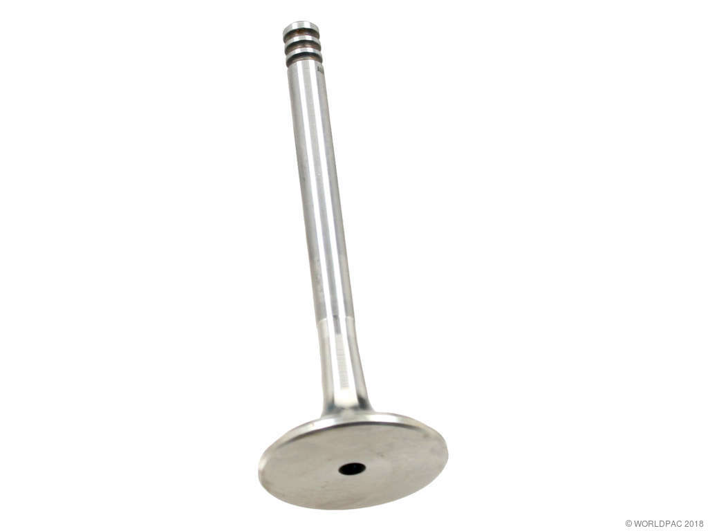 1996-2006 Volkswagen Golf Engine Exhaust Valve (AE)