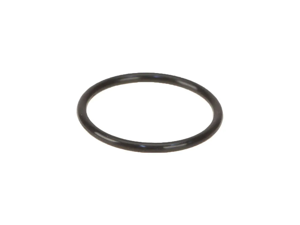 2011-2022 Ford F-250 Super Duty Engine Coolant Thermostat Gasket -  or Right (Genuine)