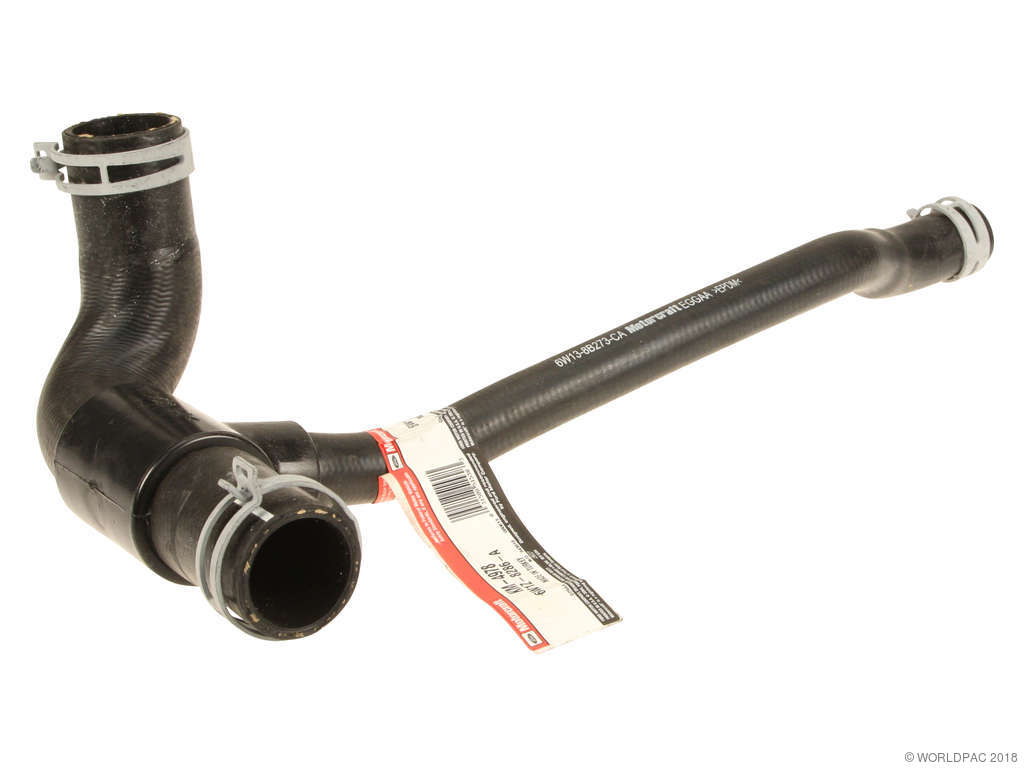 2004-2011 Lincoln Town Car Engine Coolant Reservoir Hose - Lower (Motorcraft)