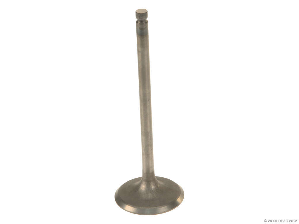 2004-2006 Subaru Baja Engine Intake Valve (Genuine)