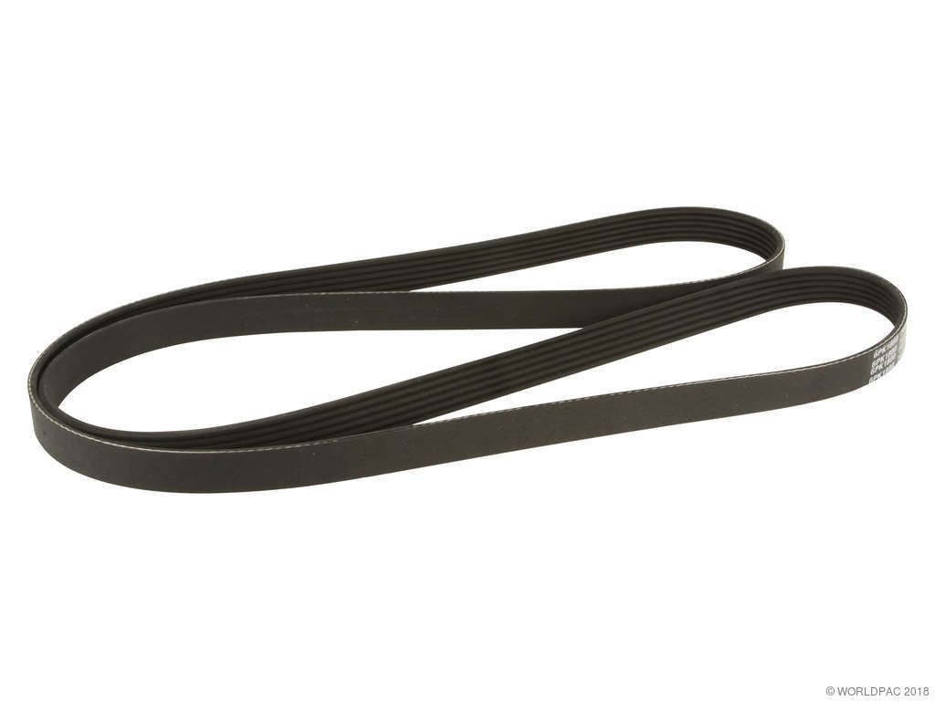 2002-2005 Audi A4 Accessory Drive Belt - Primary (Dayco)
