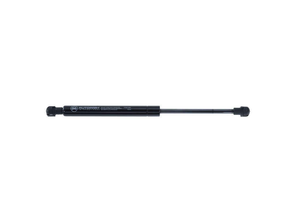 1996-2000 BMW 328i Hood Lift Support (Autopart International)