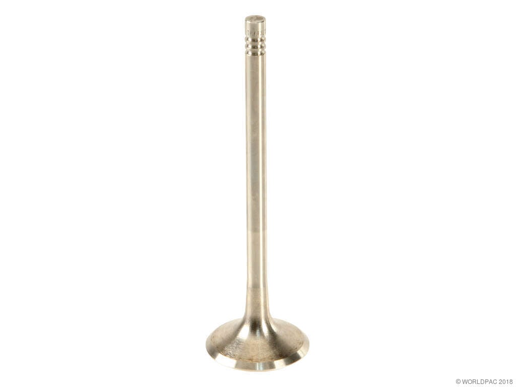 2009-2017 Volkswagen CC Engine Exhaust Valve (TRW)