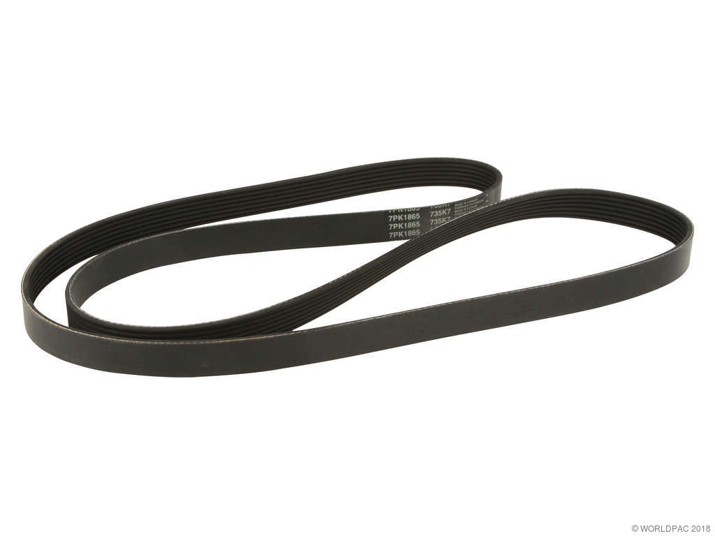1992-1996 Dodge Viper Accessory Drive Belt - Primary (Dayco)