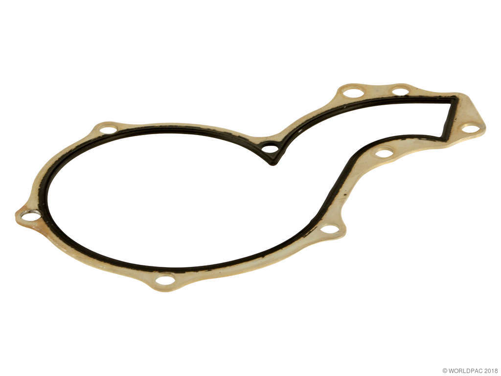 2000-2001 Audi A4 Engine Water Pump Backing Plate Gasket (Payen)