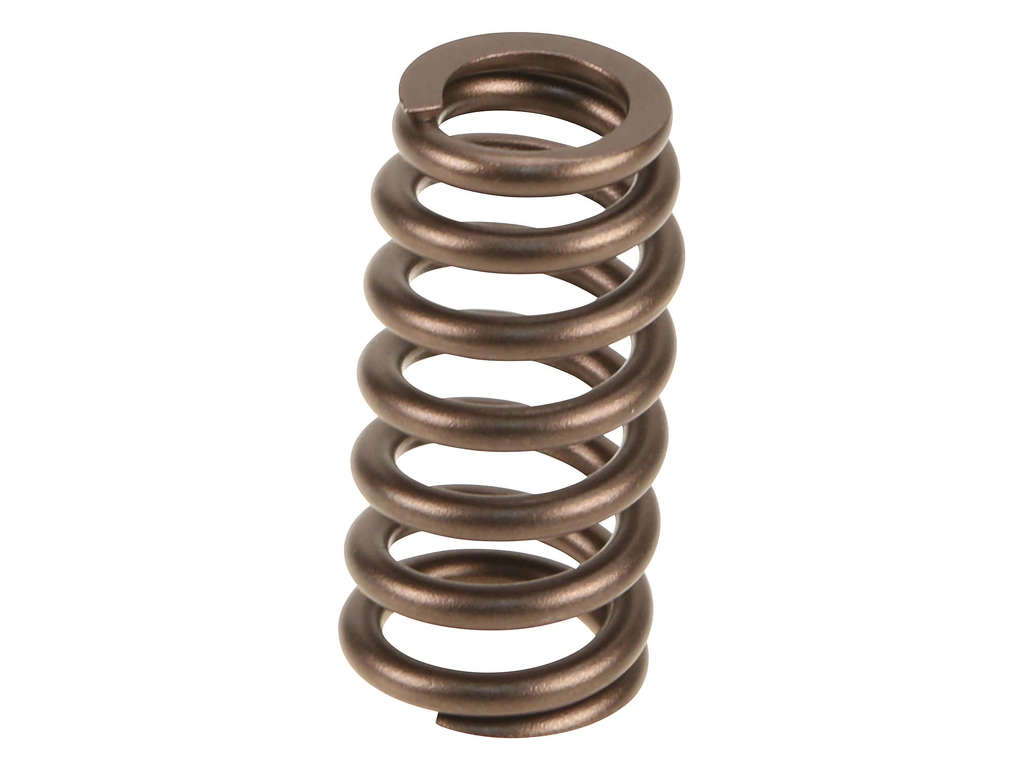 2005-2014 Lincoln Navigator Engine Valve Spring (Genuine)