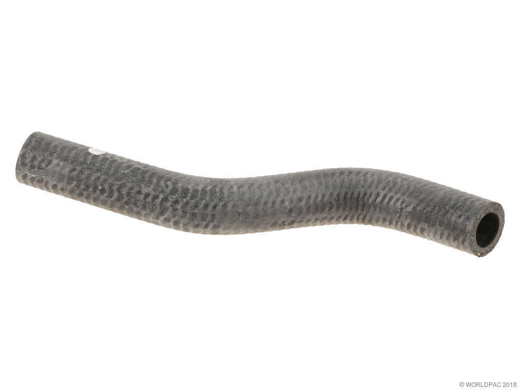 1999-2002 Nissan Quest Engine Coolant Hose (Genuine)