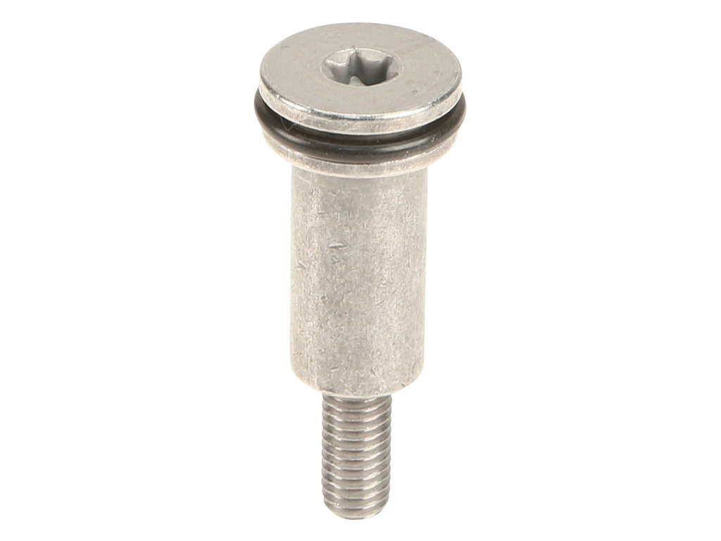 2007-2015 Mini Cooper Engine Timing Chain Guide Bolt (Original Equipment)