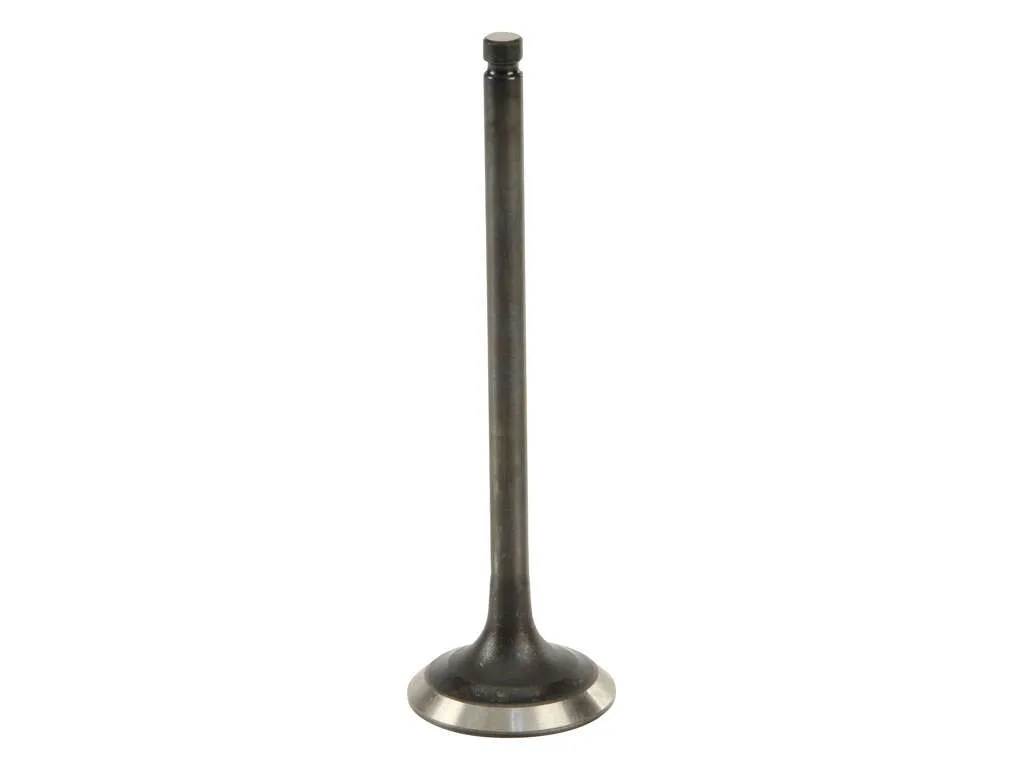 2002-2005 Subaru Impreza Engine Exhaust Valve (Genuine)