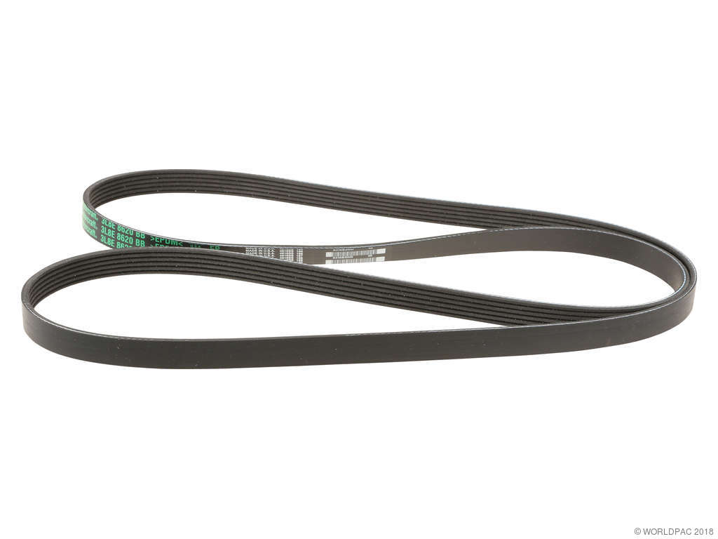2001-2004 Mazda Tribute Accessory Drive Belt - Primary (Motorcraft)