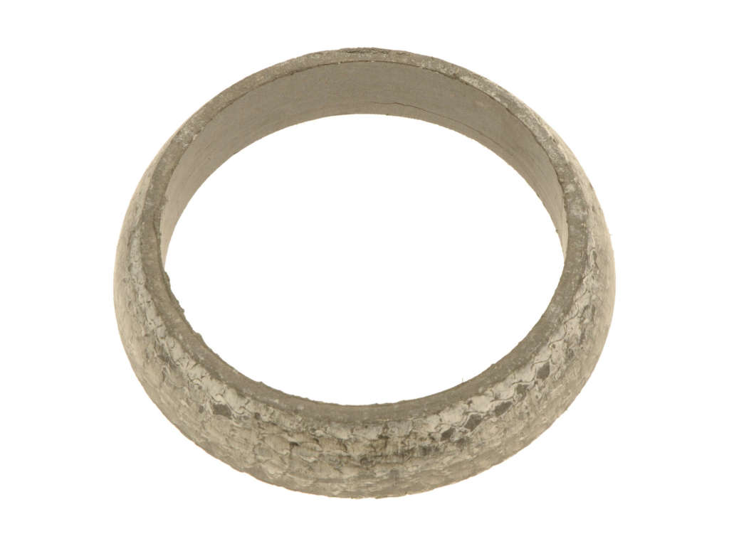 1998-1999 Isuzu Oasis Catalytic Converter Gasket (Autopart International)