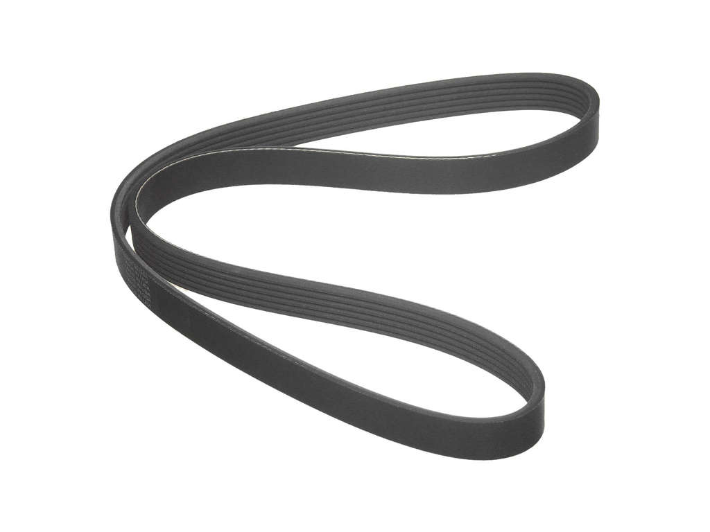 2013-2015 Audi RS5 Accessory Drive Belt - Alternator (Bando)