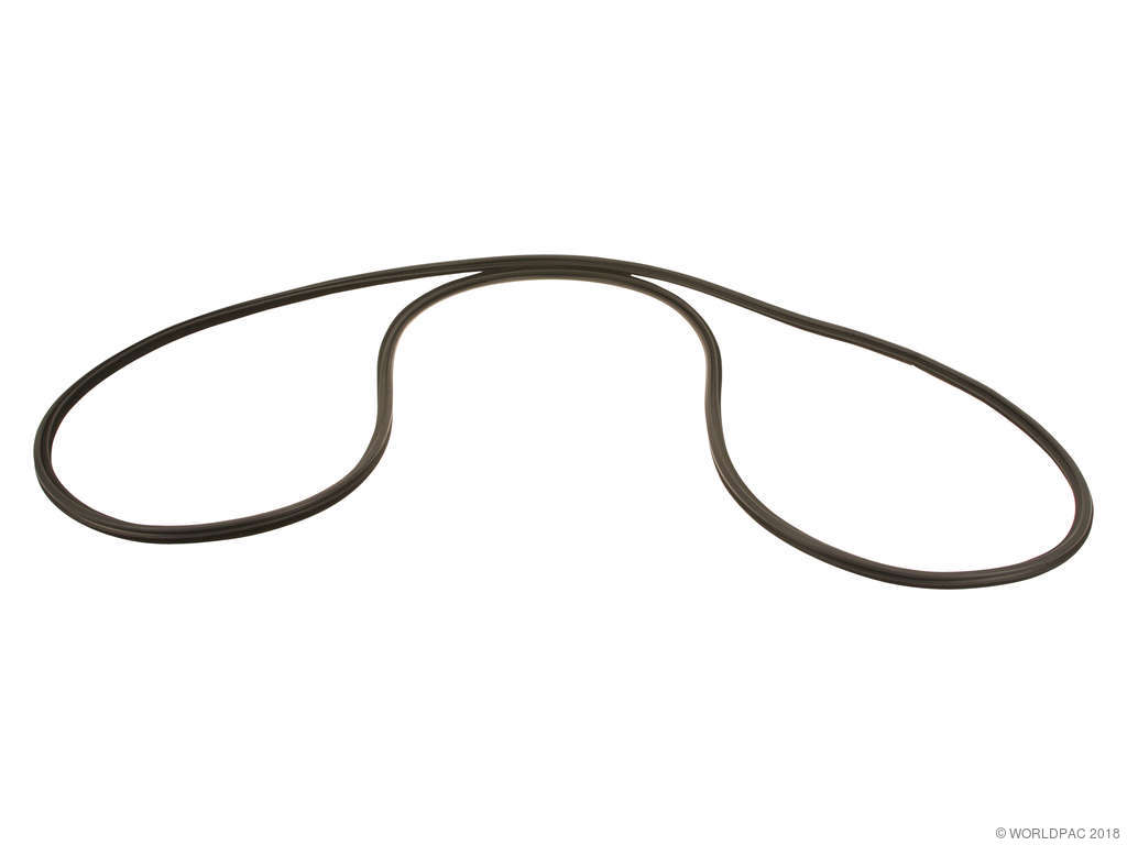 2001-2006 BMW M3 Sunroof Seal (APA/URO Parts)