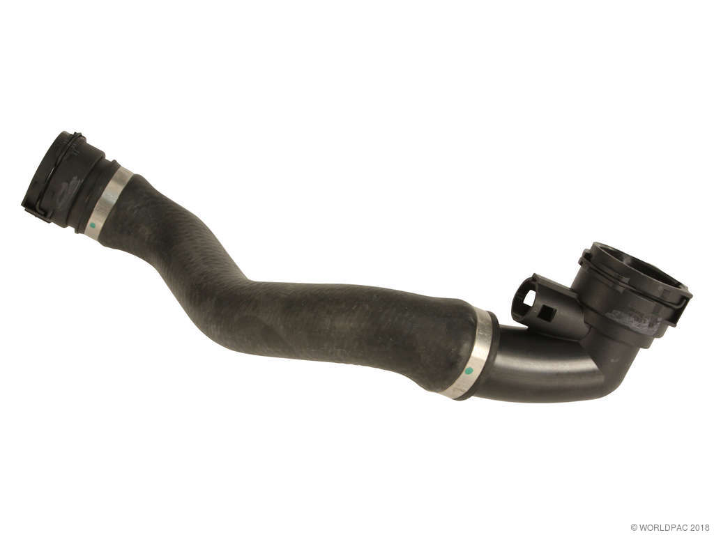 2001-2006 BMW X5 Radiator Coolant Hose - Lower (Rein)