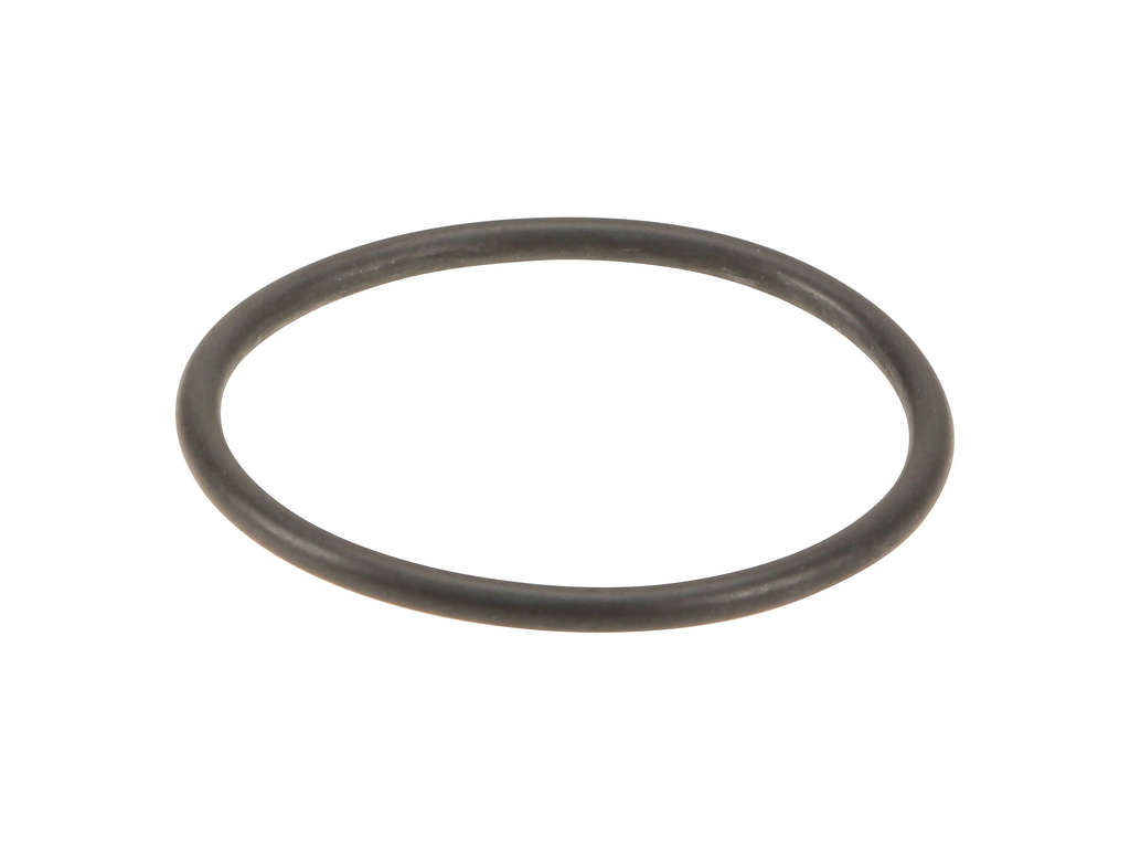 2010-2019 Freightliner Sprinter 2500 Intercooler Intake Silencer O-Ring (Genuine)