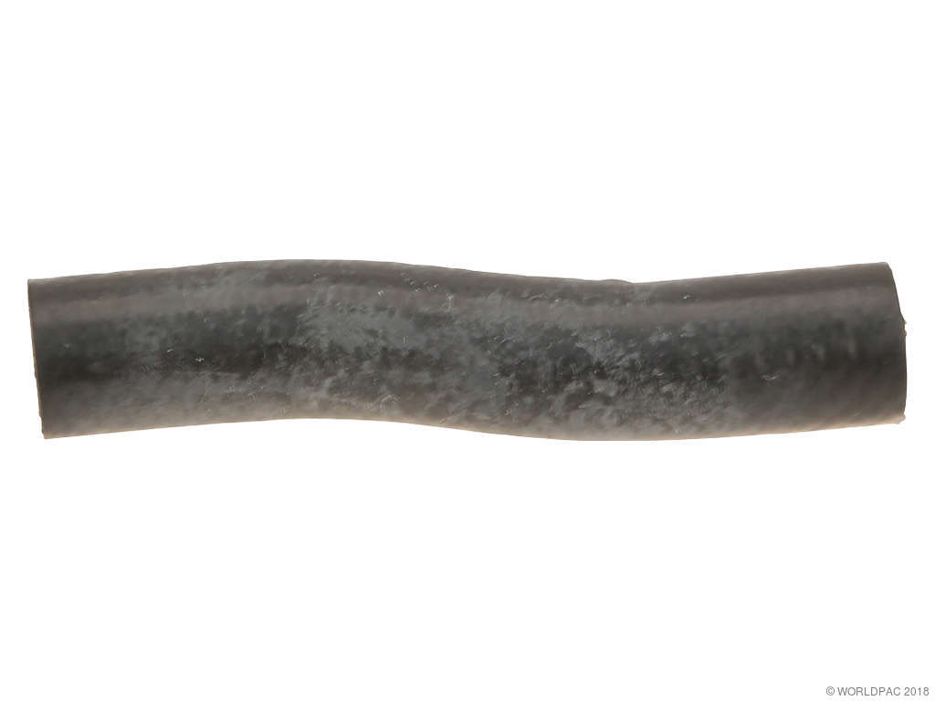 2004-2009 Nissan Quest Engine Coolant Hose (Genuine)
