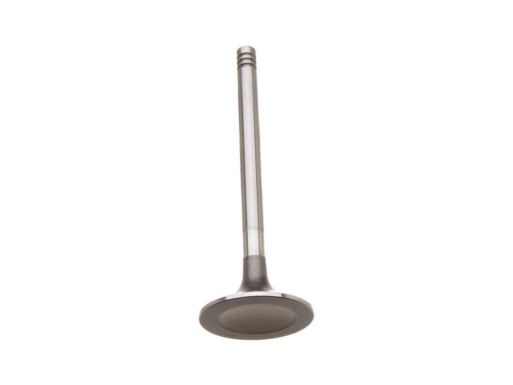 1972-1975 Volkswagen Transporter Engine Intake Valve (TRW)