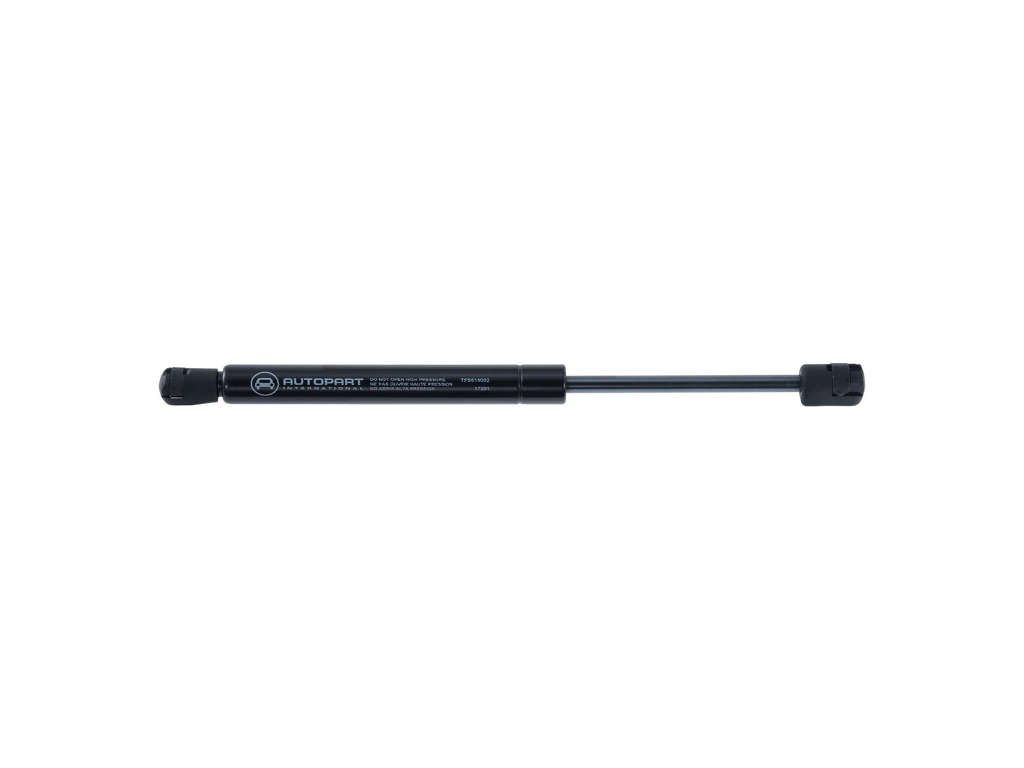 2005-2008 Chrysler 300 Trunk Lid Lift Support (Autopart International)
